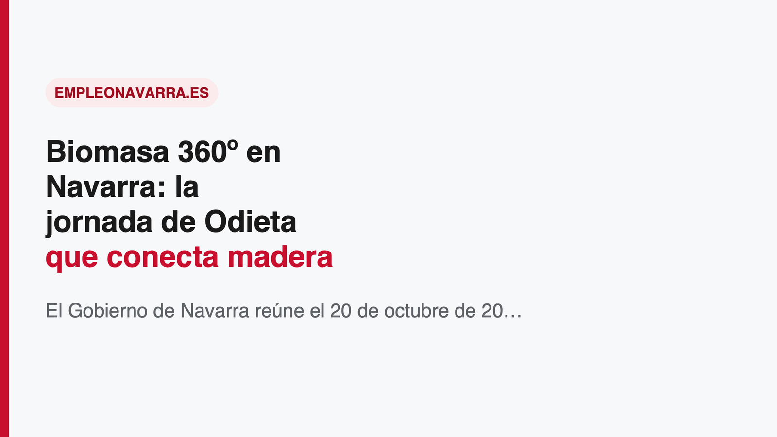 Biomasa 360º en Navarra: la jornada de Odieta que conecta madera local, energía y empleo rural